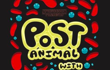 Post Animal, Town Criers, Paddlefish, The Magic Johnson