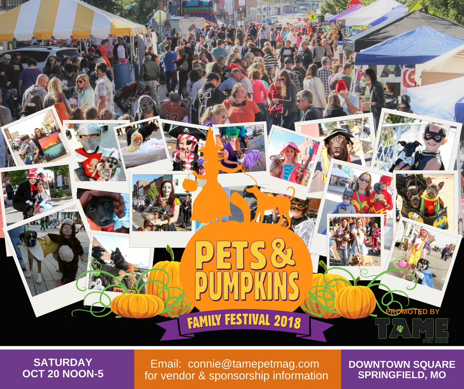 PETS AND PUMPKINS FESTIVAL 2018