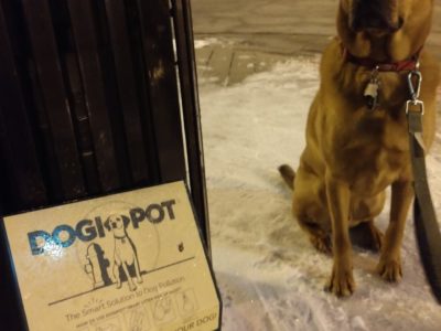 A dog sits next to a Dogi Pot on a snowy sidewalk