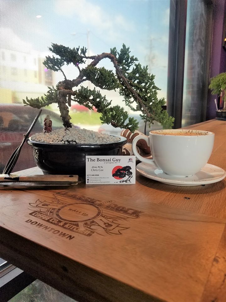 Classic Rock Coffee Downtown and The Bonsai Guy Date Night