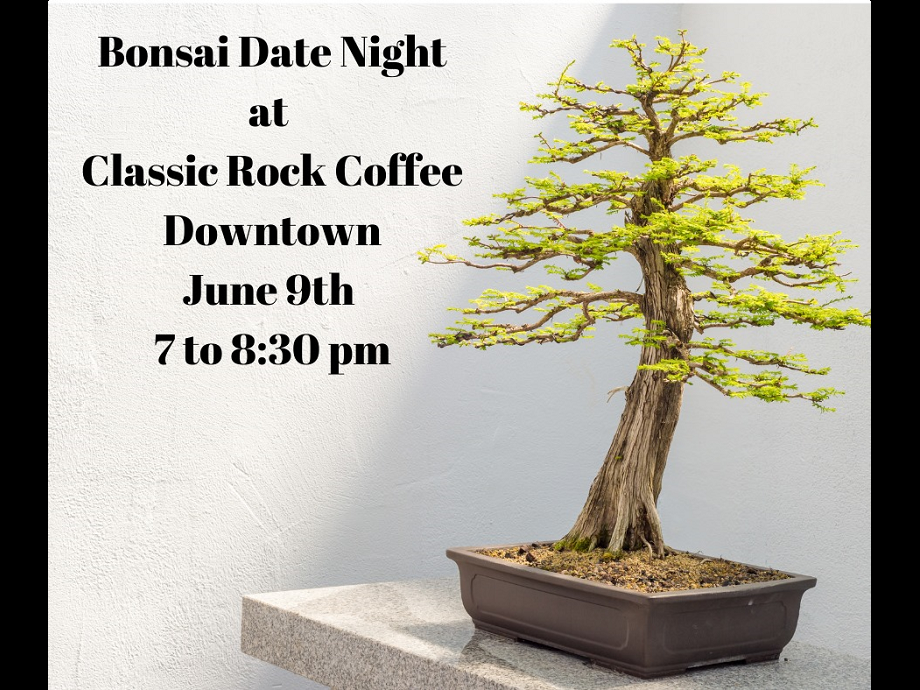 Bonsai Date Night @ Classic Rock Coffee Downtown