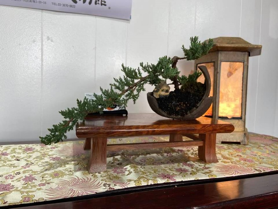 Mother's Day Bonsai Class @ Classic Rock Downtown