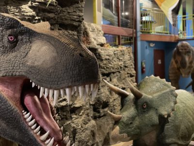 Animatronic dinosaurs on display at the Discovery Center