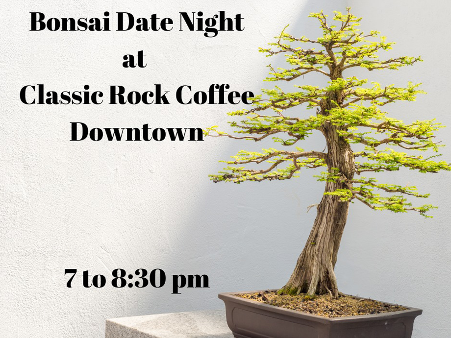 Bonsai Date Night at Classic Rock Coffee Downtown