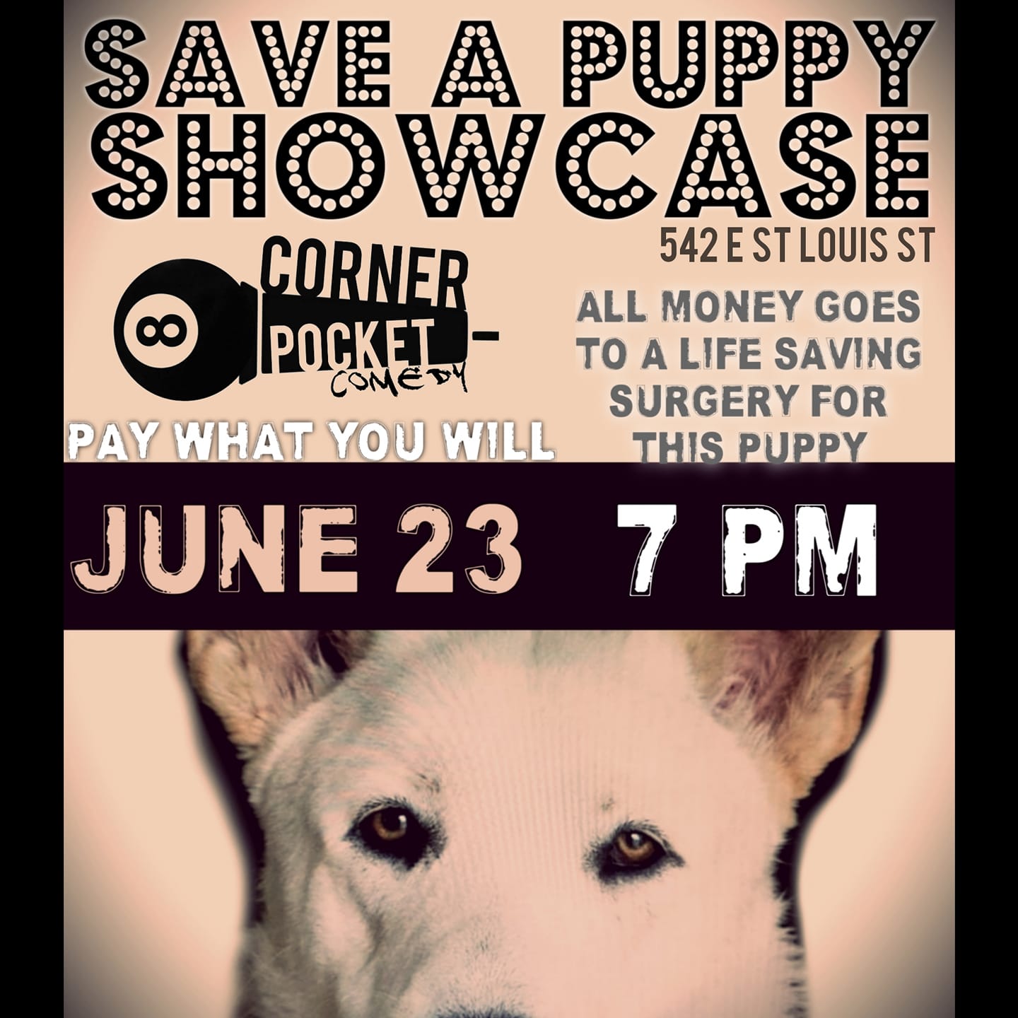 Save A Puppy Showcase