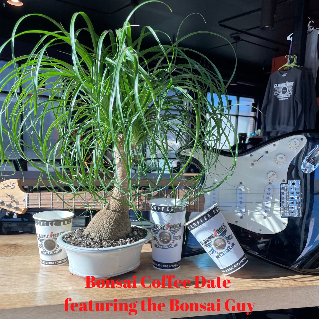 Bonsai and Coffee Date with the Bonsai Guy