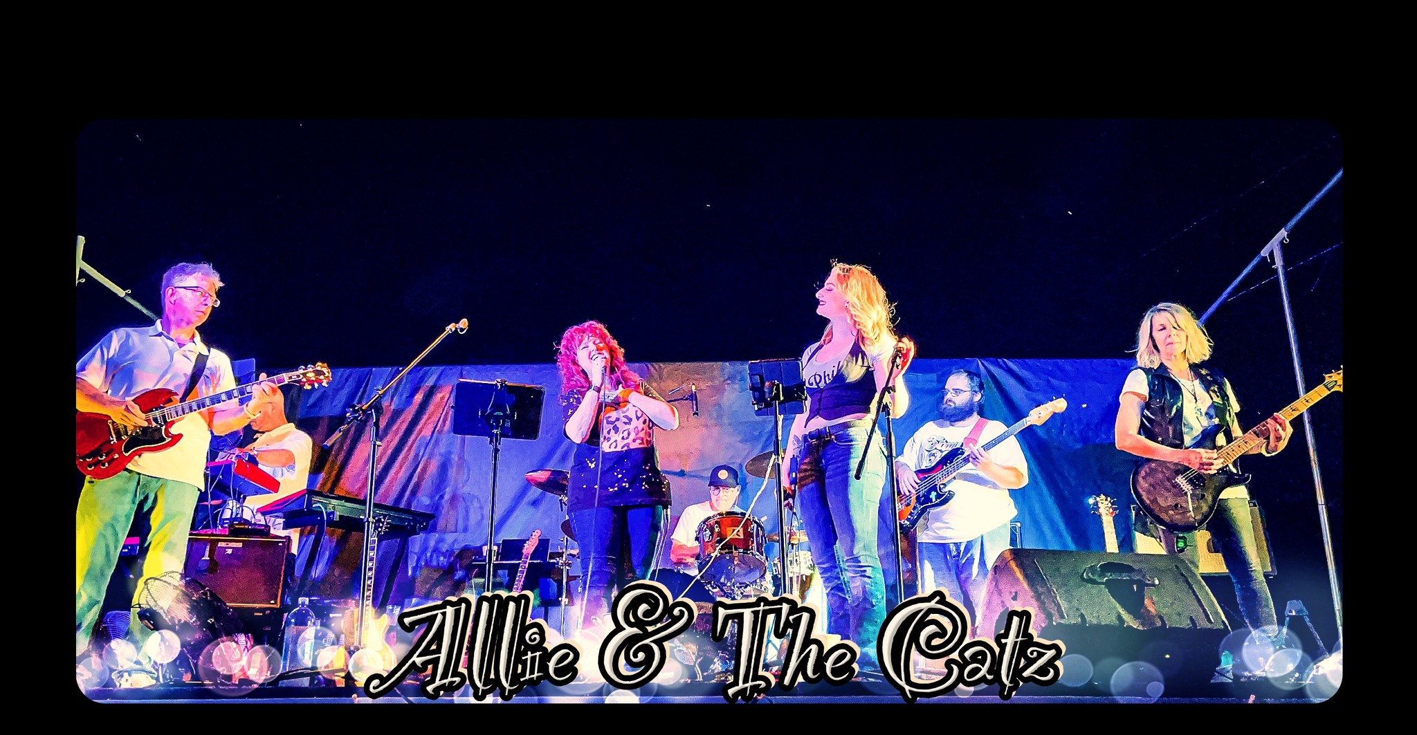 Hold Fast Fridays - Allie and the Catz