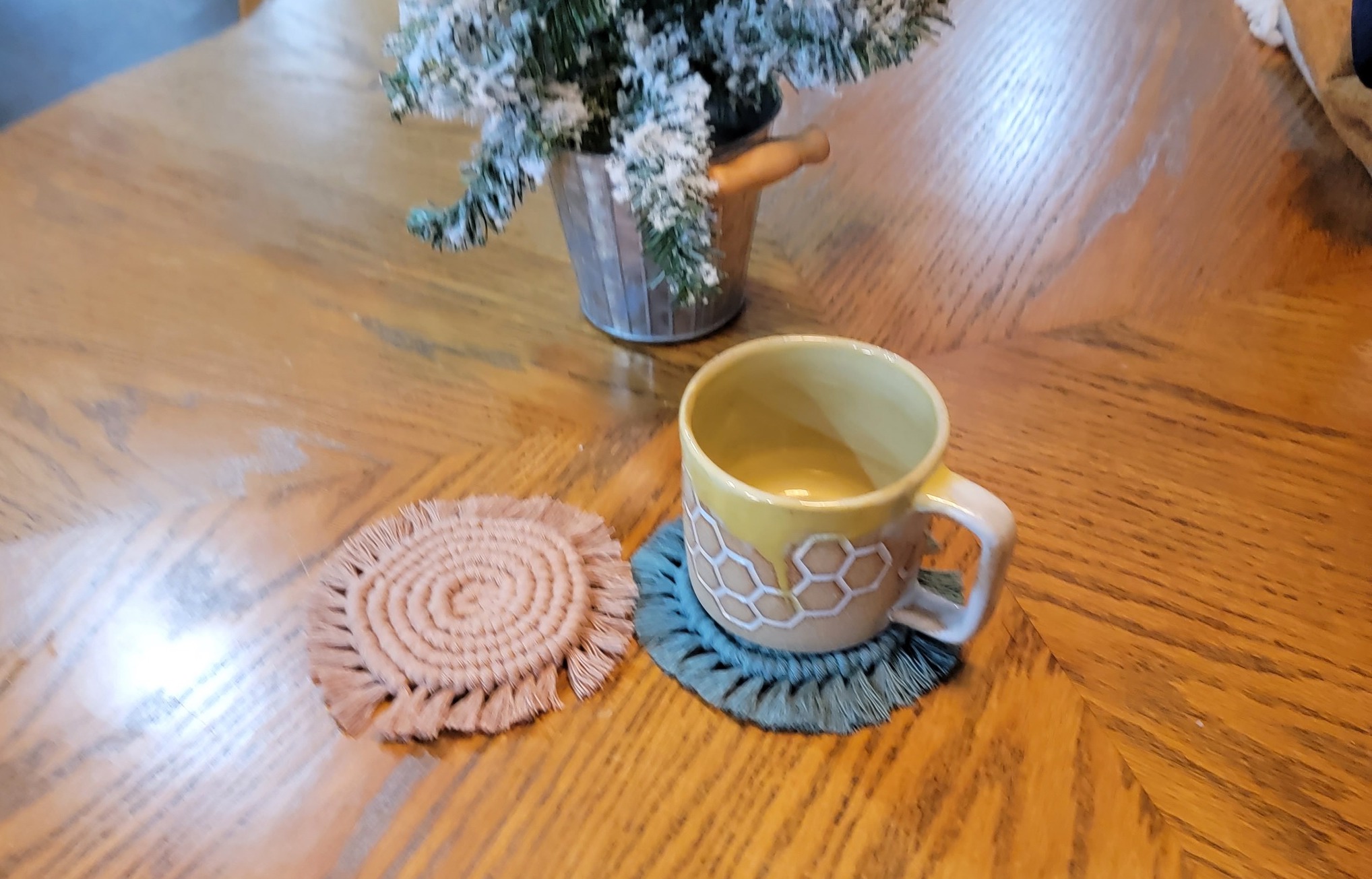 Knotty Coasters