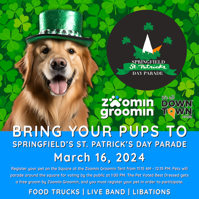 Zoomin Groomin Irish Pet Contest