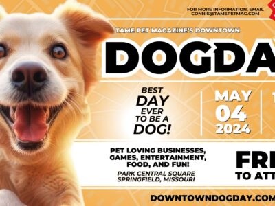 Downtown Dog Day