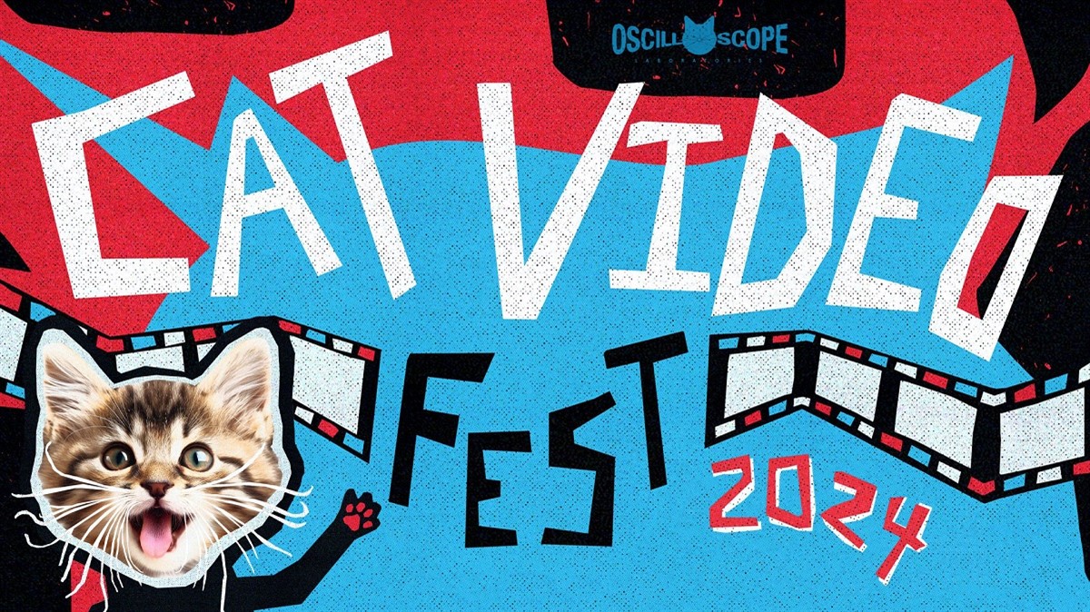Cat Video Fest 2024 at Moxie Cinema