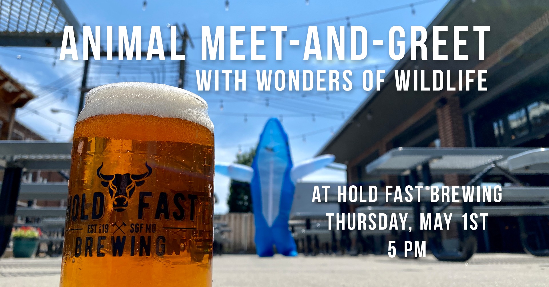 Animal Meet and Greet with Wonder's of Wildlife