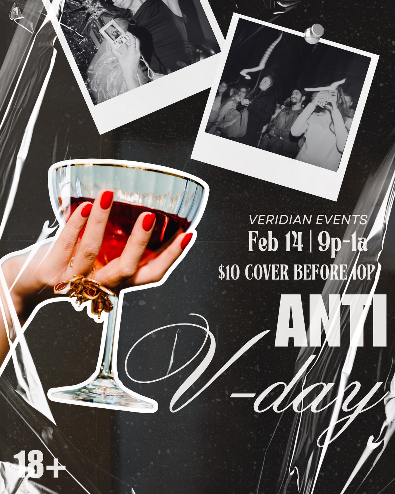 ANTI V-DAY RAVE