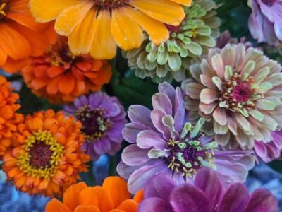 Build a Bouquet Night at Ozarks Farm Stop